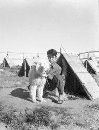 南極物語で なぜ樺太犬は置き去りにせざるを得なかったのでしょうか Yahoo 知恵袋