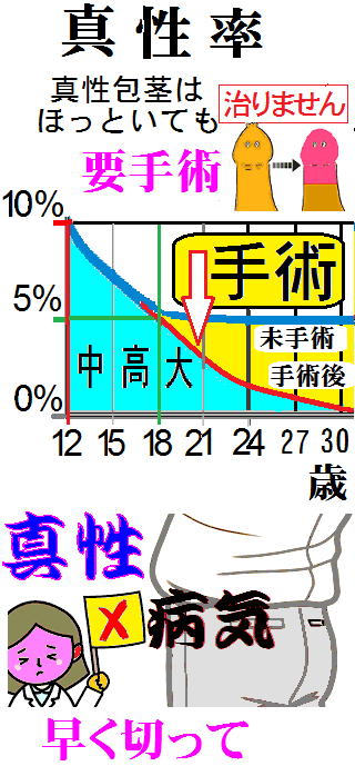 ３０歳前後で真性包茎の割合は100人に10人ぐらいですか？ - １００人 