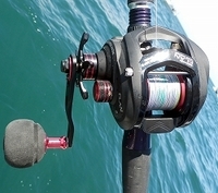 タコ釣りのリールについてお願い致します 東京湾でタコ釣りを始めることになったの Yahoo 知恵袋