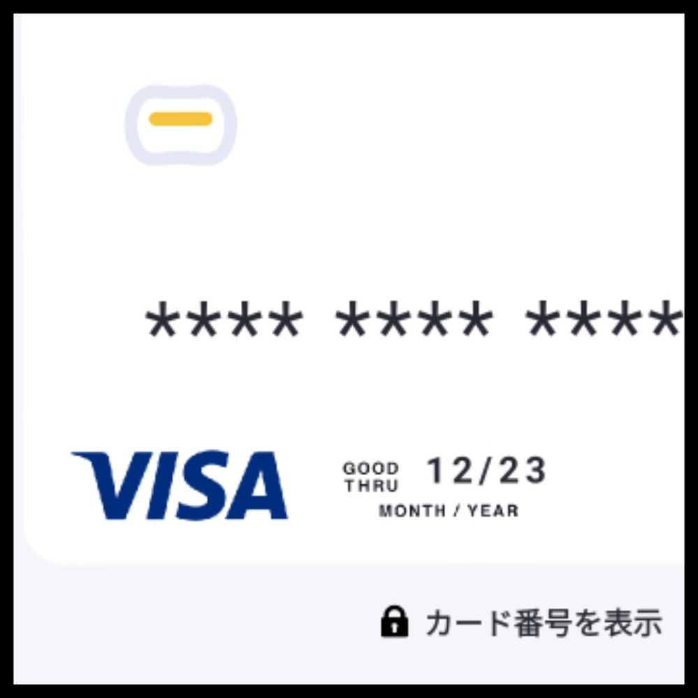 アメリカのWishというインターネット通販でカード情報のMM/YYのとこ 