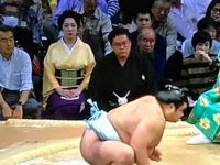 大相撲 観客 美人 ワンピース Kipotosaeyoe