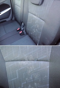 車の助手席のシートにカビがありました 掃除の仕方教えてください とりあえずテ Yahoo 知恵袋