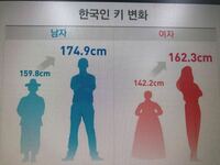韓国での身長についてです Kpopや韓国ドラマを見ているとほとんどの人が高身長 Yahoo 知恵袋