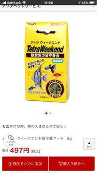 夏休みで8日間ほど家を空けるのでネオンテトラなどが15匹ほどいる水 Yahoo 知恵袋