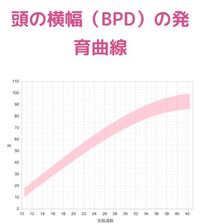 赤ちゃんの頭の大きさについて質問です 15w4dで本日検診に行って Yahoo 知恵袋