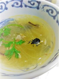 パクチーが苦手な人が カメムシの味がする って忌み嫌う理由ですが カ Yahoo 知恵袋