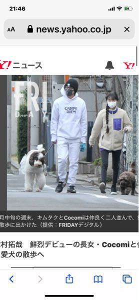木村拓哉が飼っている犬