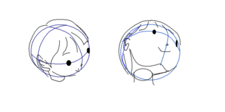 顔を描くときのアタリの描き方に悩んでます 正面 横顔 正面煽り 正面俯瞰は Yahoo 知恵袋