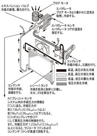 回答の画像