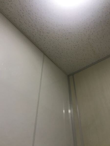 Mlz8us3cm Ttpm