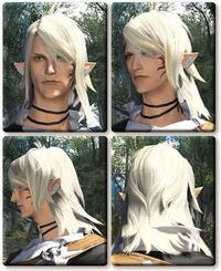 Ff14で質問です キャラメイクでこの写真の通り出来ますかね Yahoo 知恵袋