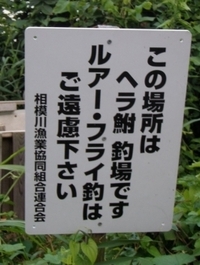 相模川の三段の滝にブラックバスはいますか また 釣りのできるよう Yahoo 知恵袋