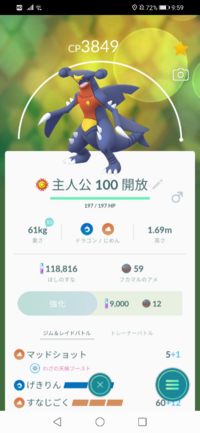ポケモンgoのガブリアスについてですが 皆さんはガブリアスをド Yahoo 知恵袋