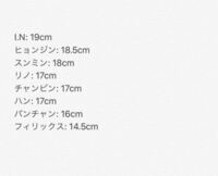 スキズのリノくの手がすごく小さいと言う映像を見たのですが実際どのく Yahoo 知恵袋