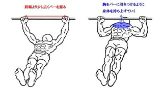 筋トレの懸垂について質問です 初心者で練習方法としてジャンプしてゆっくり Yahoo 知恵袋