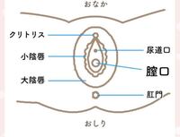 高３女子です 生理のことで質問です 今まで生理にあまり関心が Yahoo 知恵袋