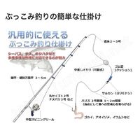 防波堤から釣りで竿を放置してても魚が釣れる仕掛けを教えてください Yahoo 知恵袋