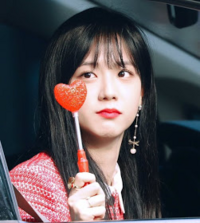 ペン卒BLACK PINKグッズ 写真以外にももってます