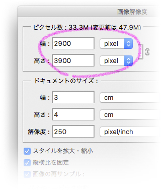 証明写真の大きさ（サイズ）の変更の方法を教えて下さい。 - 証