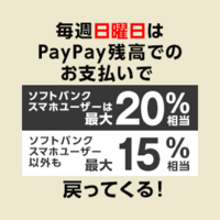 モール 日曜日 ペイペイ