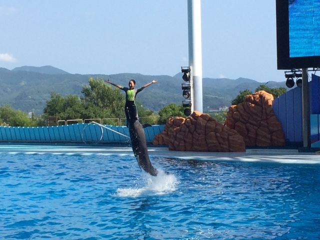 南紀白浜アドベンチャーワールドでは昔オルカを飼育していましたが何故