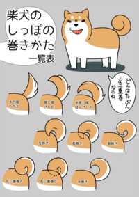 柴犬の尾が二重に巻いていて 振ることが出来ません 尾を動かさないと お尻 Yahoo 知恵袋