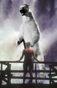 現存する最強の食肉目はホッキョクグマかコディアックヒグマですか やっぱりネコ Yahoo 知恵袋