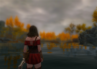 インテルuhdgraphics630でmodを導入したスカイリムを Yahoo 知恵袋