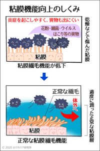 鼻の中が乾燥するので困っています 対策がなにかありますか ちなみ Yahoo 知恵袋