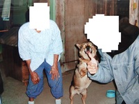 ペットショップに売っていない犬種はどこで飼うのでしょうか 最近のペ Yahoo 知恵袋