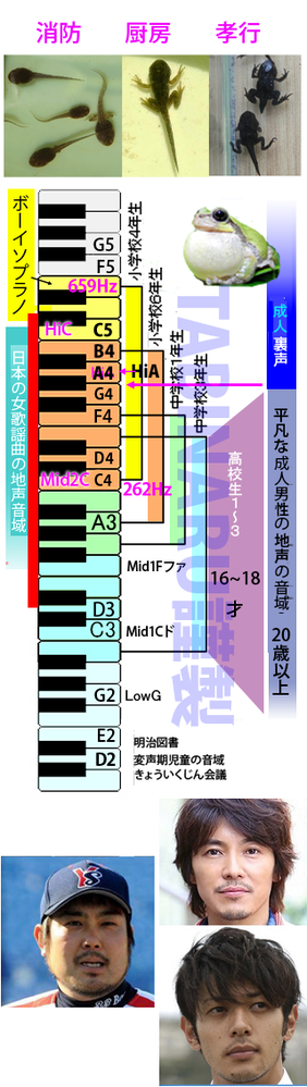 高校1年生です 高い声は出るんですが いざ歌おうとすると高い声が出なくなり Yahoo 知恵袋