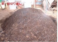 バーク堆肥と腐葉土の用途の違いは何ですか 来年の夏野菜まで畑を使用し Yahoo 知恵袋