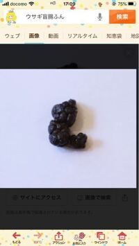 うさぎがつぶつぶがいっぱいつながった 柔らかいにおいのするうんちをしました Yahoo 知恵袋