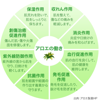 大学生ですニキビ跡があり ニキビ跡を治したいのですがどうしたらいいですか 凹凸 Yahoo 知恵袋