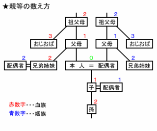 喪中について質問です 妻の父親の兄弟は何親等に当たるのでしょうか Yahoo 知恵袋