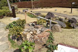 ポケモンのオドシシのモチーフは 鹿とトナカイどっちですか Yahoo 知恵袋