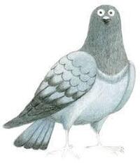 今の子供は鳩の事を鳩ぽっぽと言わないんでしょうか 小学１年生 Yahoo 知恵袋