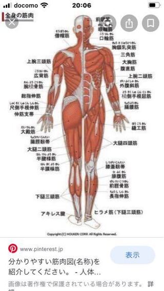 なんで海外の女性ってあんな太ももむちむちなんですか 太ももの筋肉が発達してい Yahoo 知恵袋