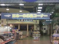 日本で一番大きな熱帯魚屋さんは Pd熱帯魚センター 東京都武蔵村山市 でしょう Yahoo 知恵袋