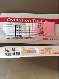 高温期13日目の排卵検査薬での結果判断 妊娠希望です 高温期13日 Yahoo 知恵袋