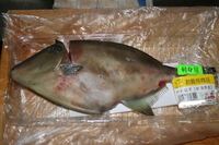 カワハギについてカワハギって高いのか安いのかわかりません 居酒屋で食べ Yahoo 知恵袋