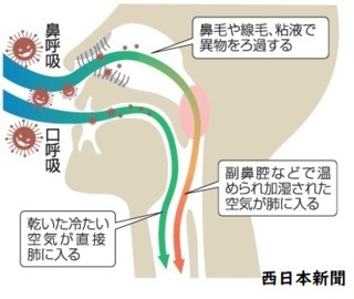 暖房つけずに寝てるのに 朝起きたら喉がイガイガして痛いのはなぜで Yahoo 知恵袋