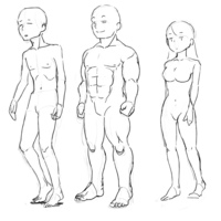 イラストのお手本描いて欲しいです 痩せ型の男と 筋肉質の男 Yahoo 知恵袋