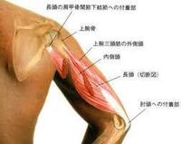 懸垂をした後から肘を伸ばしきろうとすると肘の外側が痛みます あと力を抜い Yahoo 知恵袋