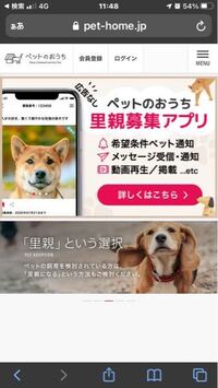 熱帯魚を辞めたいです 中1からアクアリウムを初めて現在高2で約 Yahoo 知恵袋