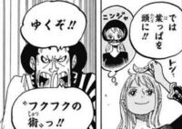 Onepieceの錦えもんについて 最近のonepieceのま Yahoo 知恵袋