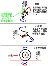 バク宙の回転力をあげるコツや練習法を教えてください 腕を振り上げて抱え込 Yahoo 知恵袋