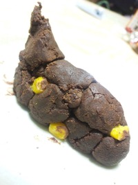 面白い感じの美味しいバレンタインチョコしりませんか Yahoo 知恵袋