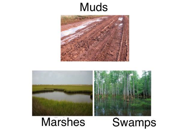 沼という英語について Marsh Swamp Mudというものがありますがいま Yahoo 知恵袋