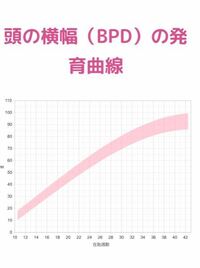 胎児の頭の大きさについて19週3日になります エコーで赤ちゃ Yahoo 知恵袋